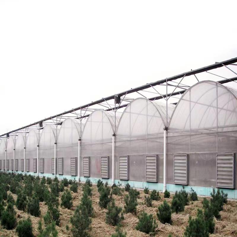 Agriculture Greenhouse Frame Multispan