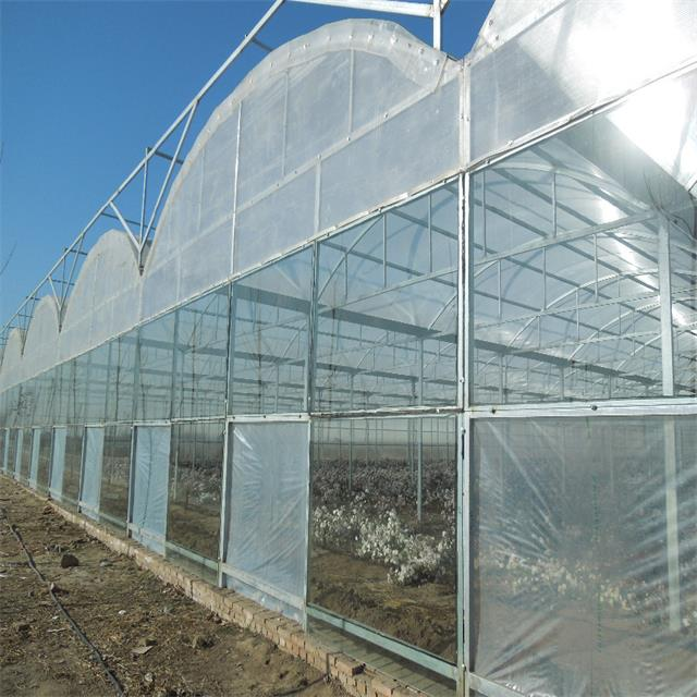 Agriculture Greenhouse Frame Multispan