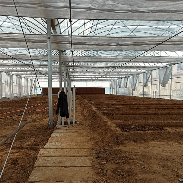 Agriculture Greenhouse Frame Multispan