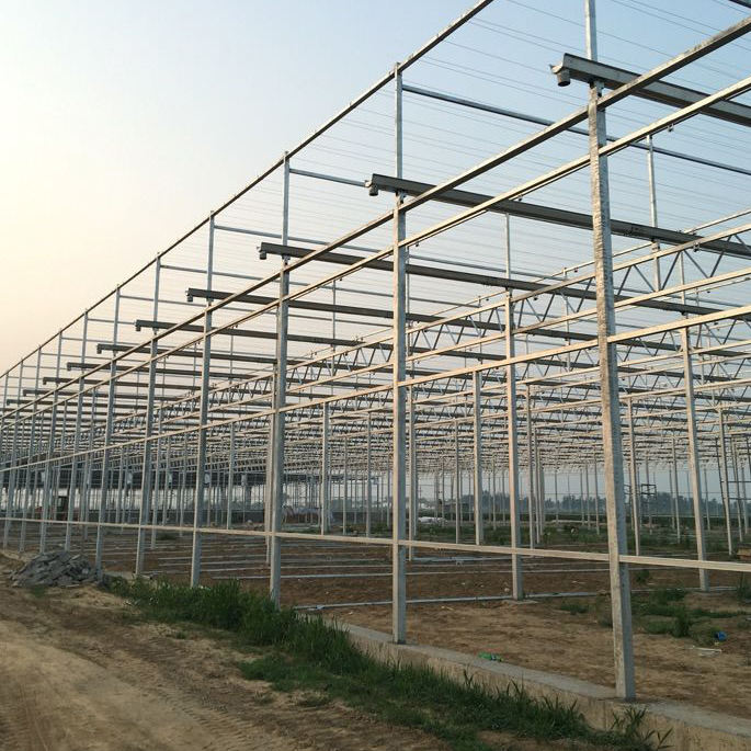 Tempered Multi-span Glass Greenhouse Pellet