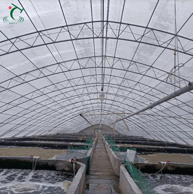 Single Span Breeding Film Greenhouse for Shrimp