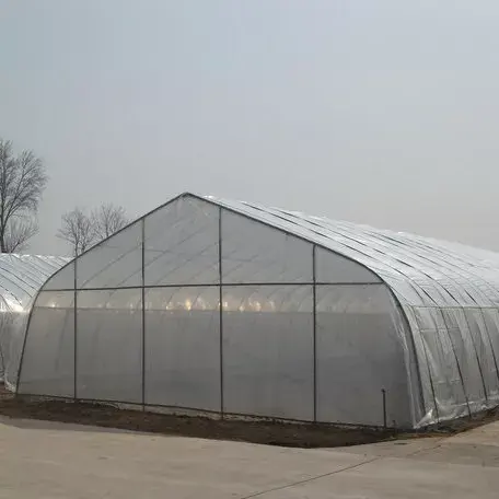 Single Span Breeding Film Greenhouse for Shrimp