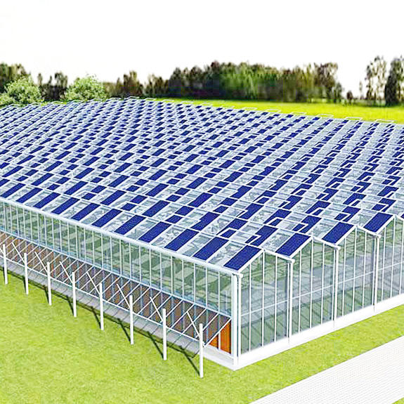 Tropical Solar Hydroponic Greenhouse Flower Vegetable Growing Stable Structure Glass