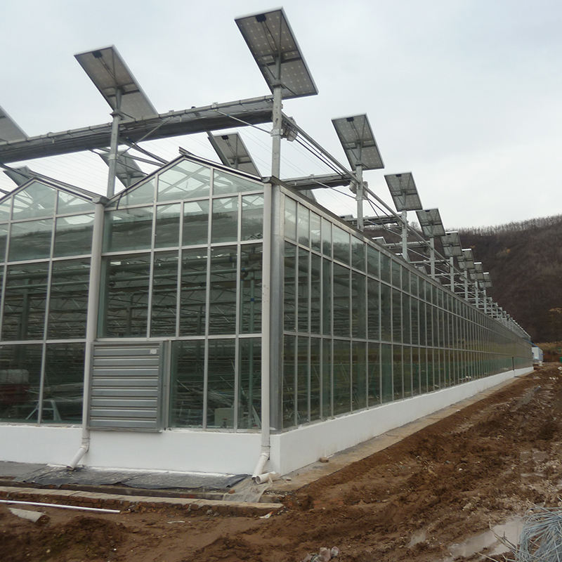 Tropical Solar Hydroponic Greenhouse Flower Vegetable Growing Stable Structure Glass