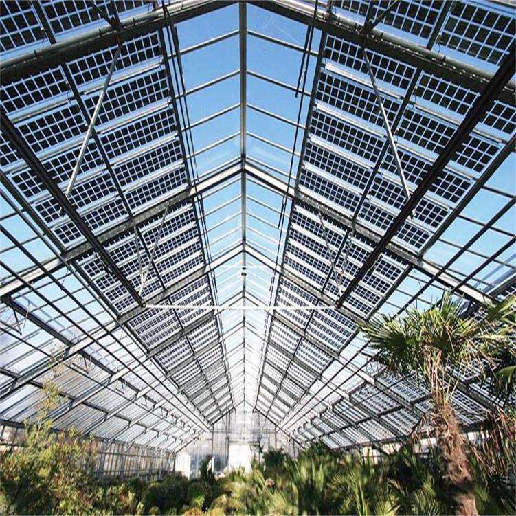 Tropical Solar Hydroponic Greenhouse Flower Vegetable Growing Stable Structure Glass