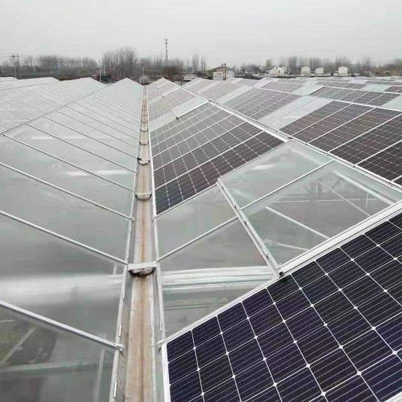 Intelligent Multi-span Solar Panel Photovoltaic Panel Professional Glass Greenhouse