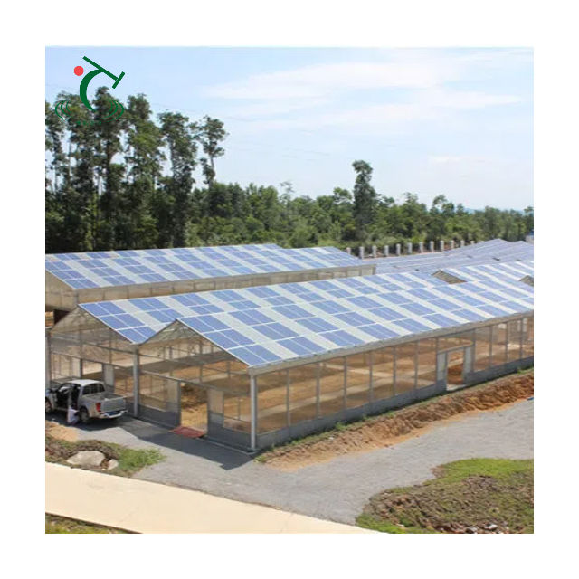 Photovoltaic Glass Greenhouse Solar Power Plant