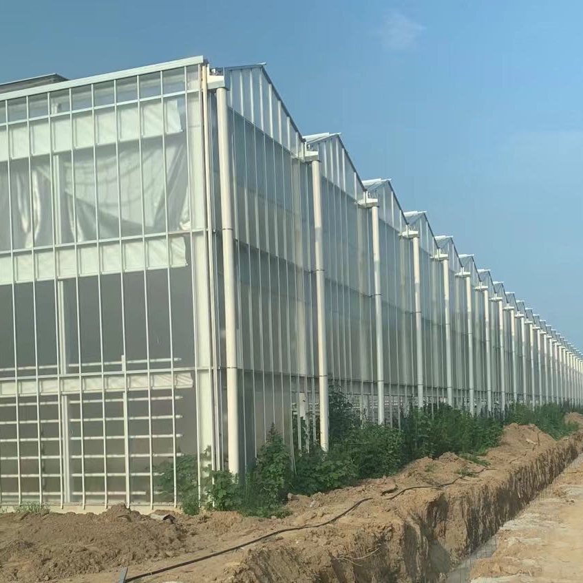 Photovoltaic Glass Greenhouse Solar Power Plant