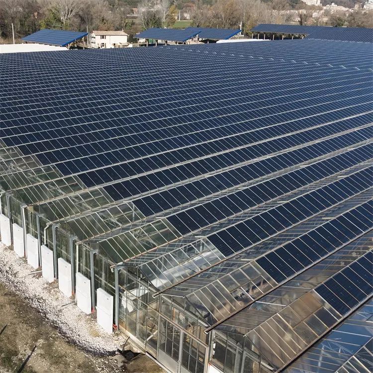 Photovoltaic Glass Greenhouse Solar Power Plant