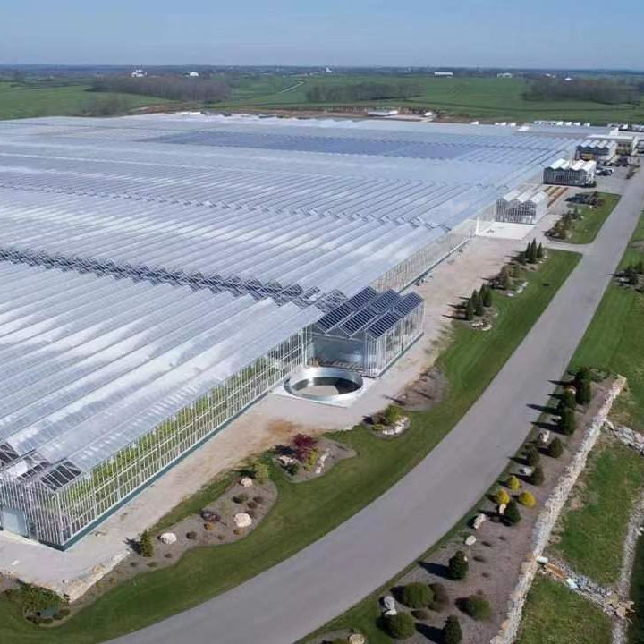 Photovoltaic Glass Greenhouse Solar Power Plant