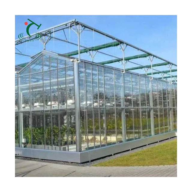 Agriculture Tomato Horticulture Multi Span Green House Metal Frame