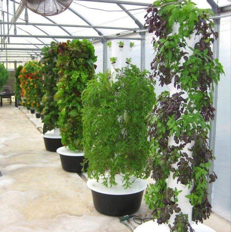 Greenhouse Vertical Tower Garden Hydroponic Grow System