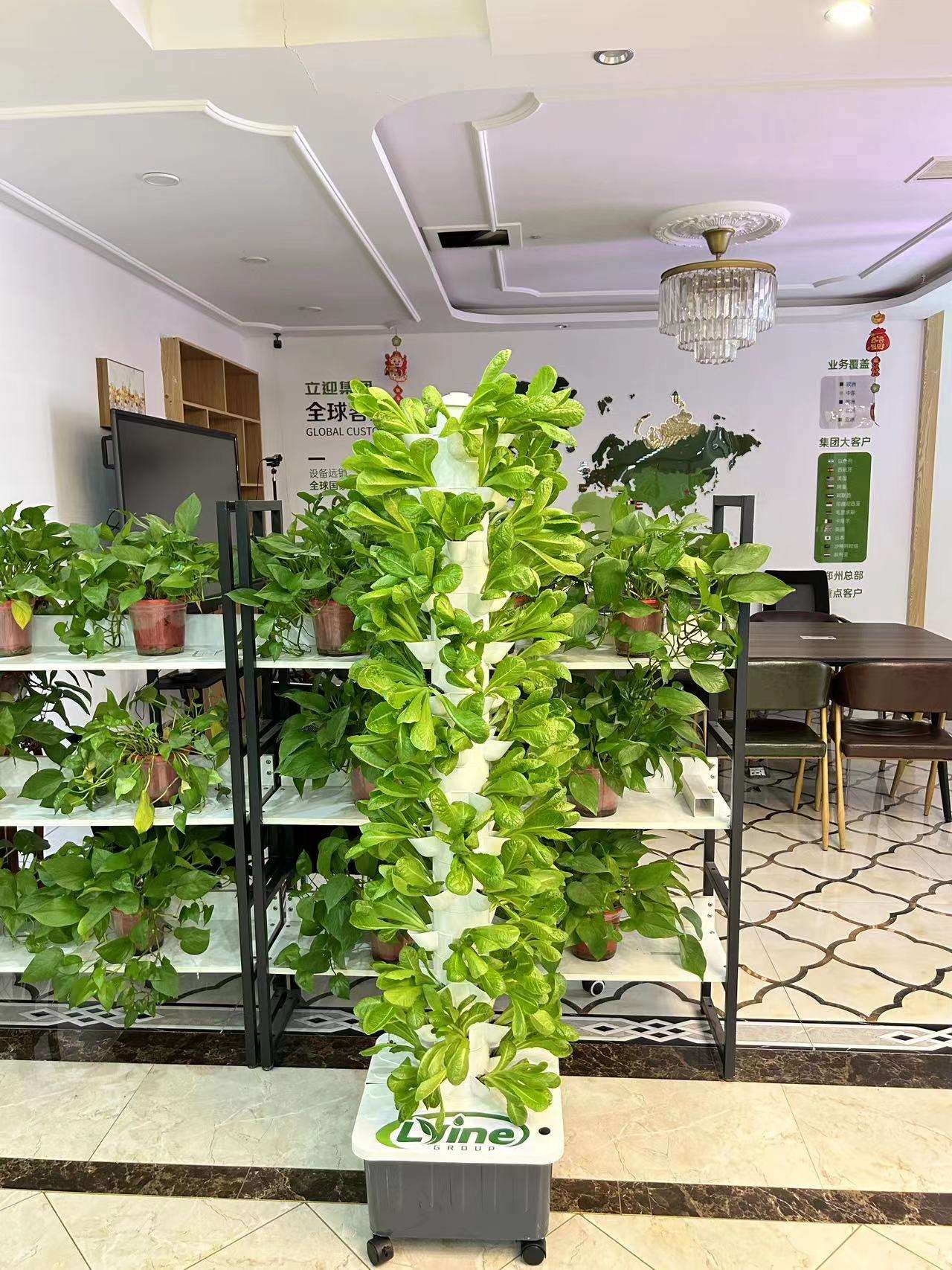 Lyine 5P14 Hydroponic Vertical Tower Garden System for Home