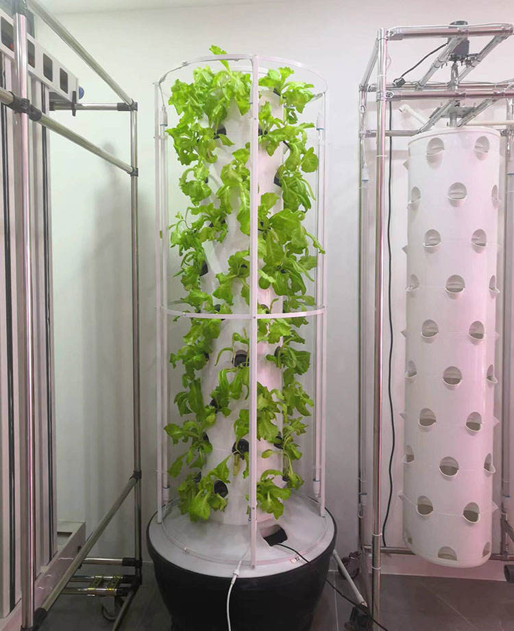 Aeroponic Tower Systems Hydroponic System (Model LY6P10-L)