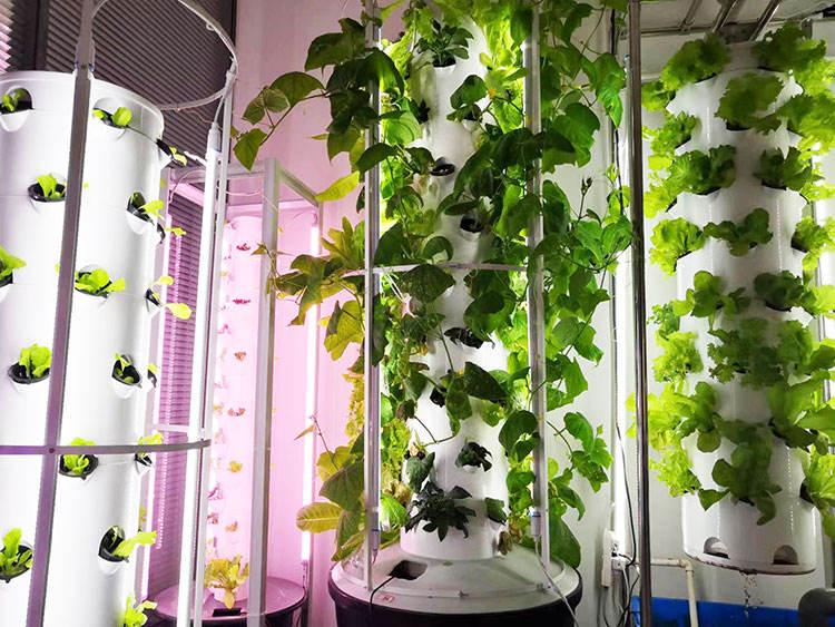 Aeroponic Tower Systems Hydroponic System (Model LY6P10-L)