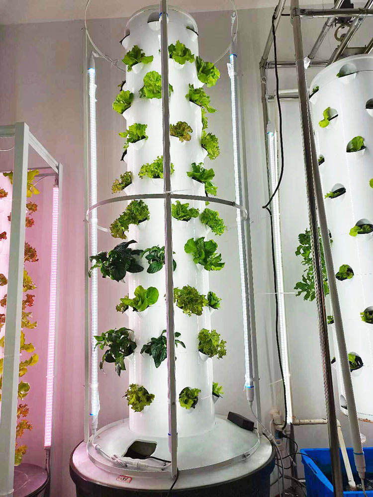 Aeroponic Tower Systems Hydroponic System (Model LY6P10-L)