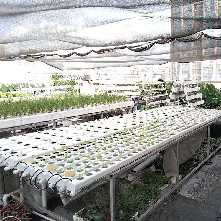 PVC Channel Growing Systems for Farm Cultivation (Type: 2M-NFT)