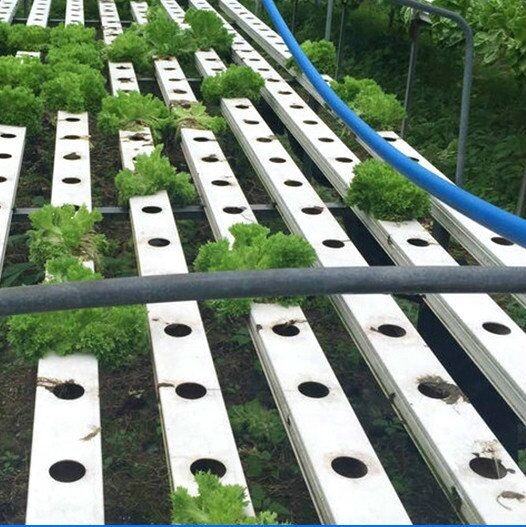 Strawberry Growing Systems Hydroponic Trough Plastic NFT Trays Growing System