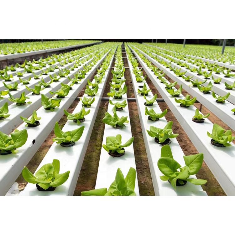 Commercial NFT channel Hydroponic growing system