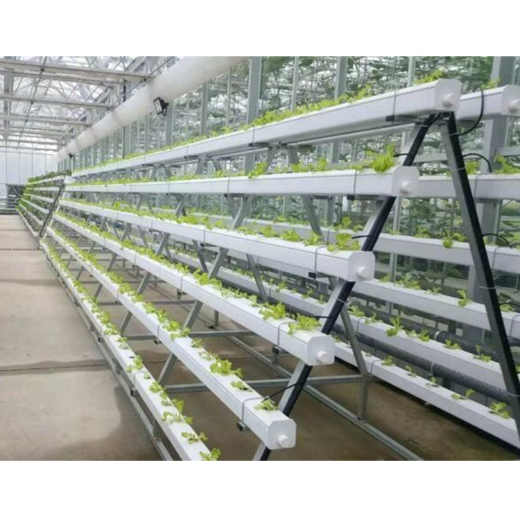 Commercial NFT channel Hydroponic growing system