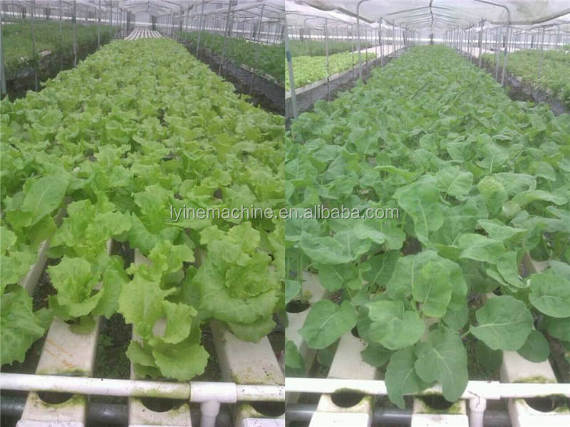 Commercial NFT channel Hydroponic growing system