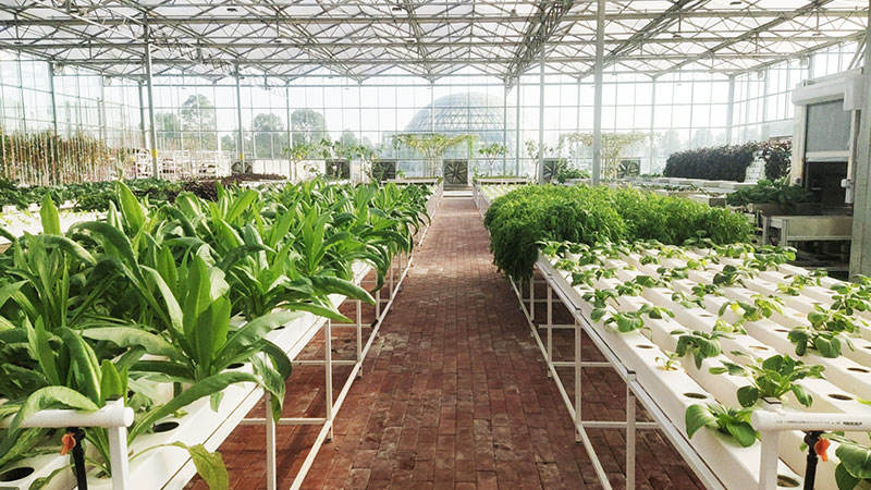 CE Certification Support Greenhouse Hydroponics Nft Channel Wholesale Table Type Nft Hydroponic System