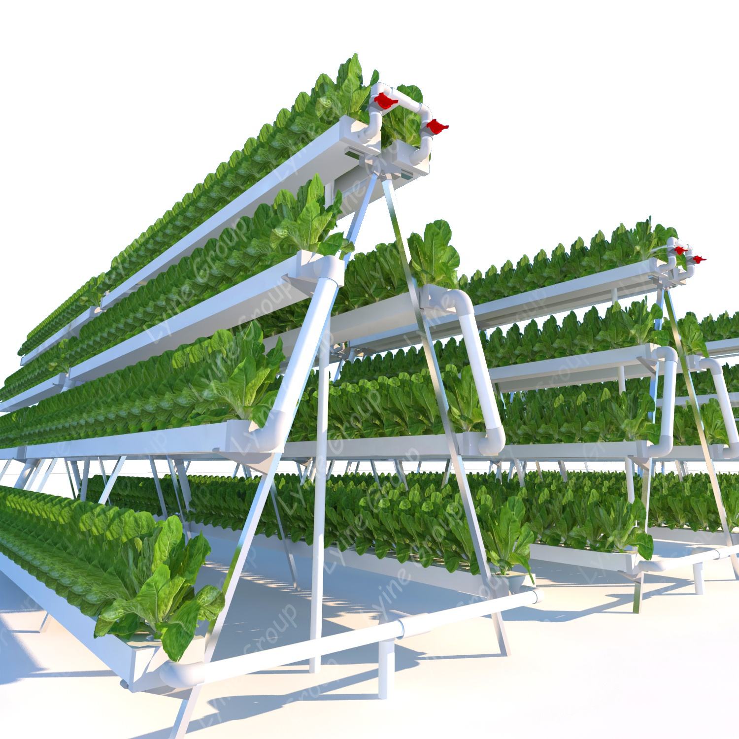 Hydroponic Growing Systems (Model Code: HG-002)