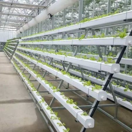 Vegetables PVC NFT Hydroponic Grow System (Model Code: NFT-013)