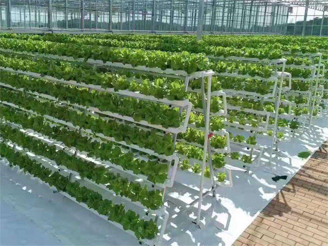 Hydroponics Vertical NFT PVC Pipe (Model Code: NFT-014)