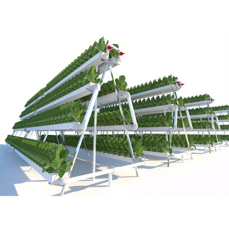 Greenhouse Vertical NFT Hydroponic Growing System (Model Code: NFT-020)