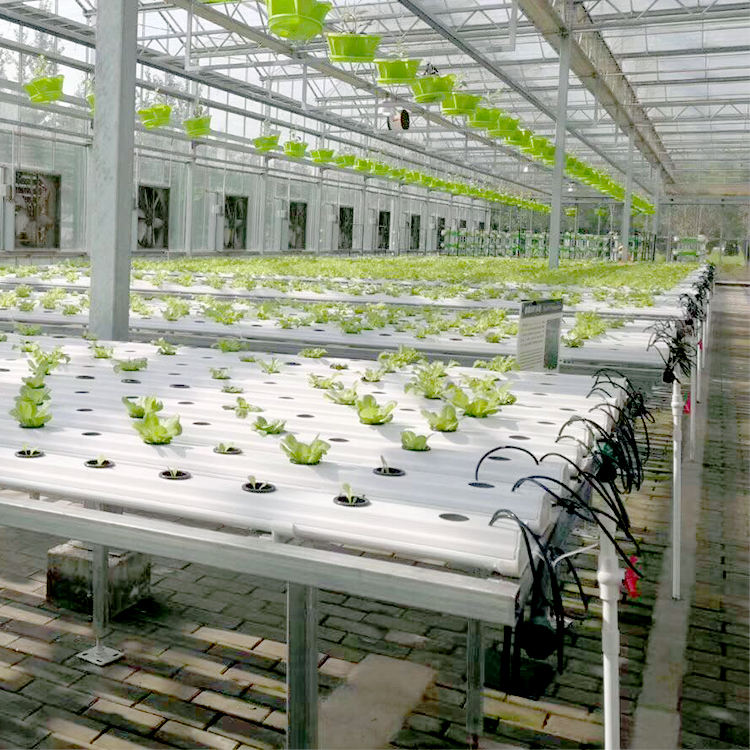 Hydroponic Growing Systems (Model Code: NFT-034)