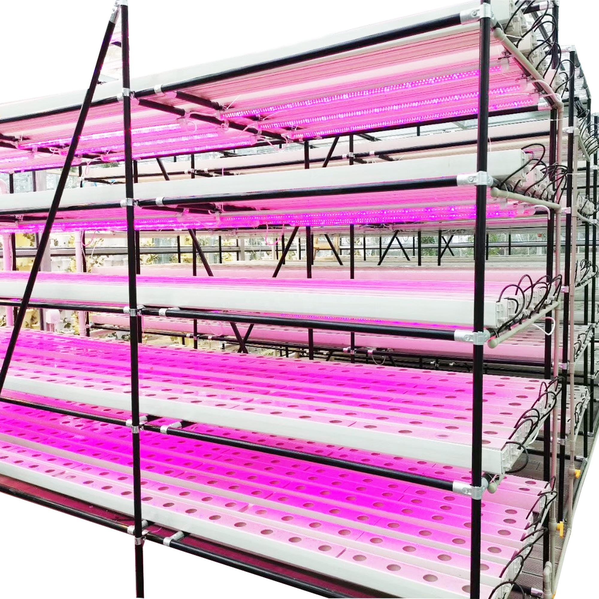 Hydroponic Growing Systems (Model Code: NFT-035)