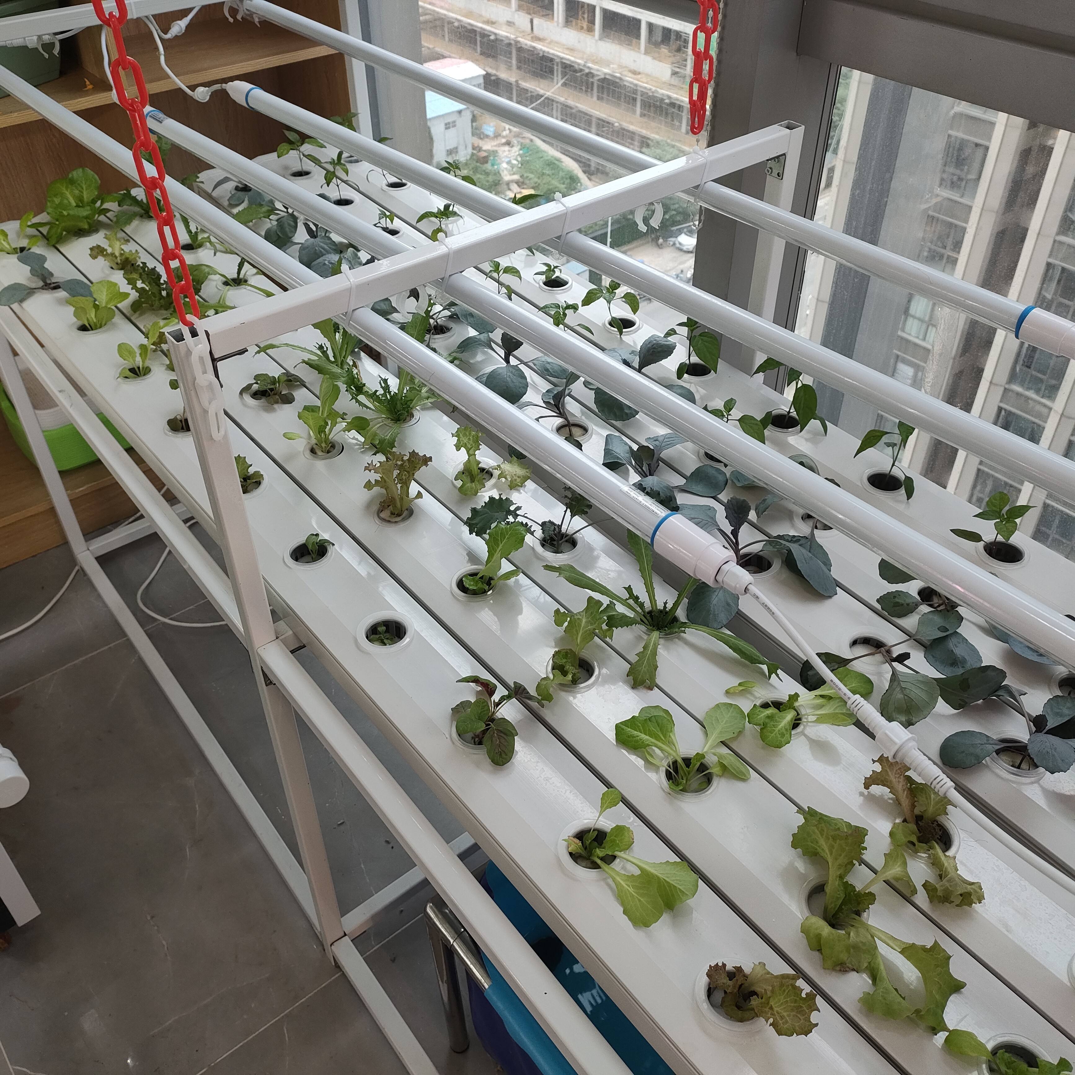 Hydroponic Growing Systems (Model Code: NFT-035)