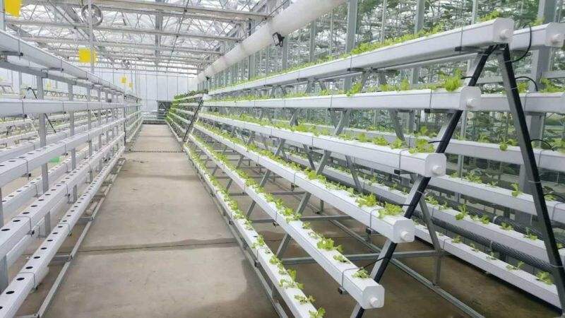 Lyine hydroponics system A type tower nft hydroponic system for greenhouse agriculture