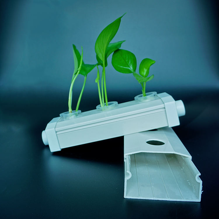 Hydroponic Growing Systems for Sustainable Agriculture (Model Code: HGS-042)