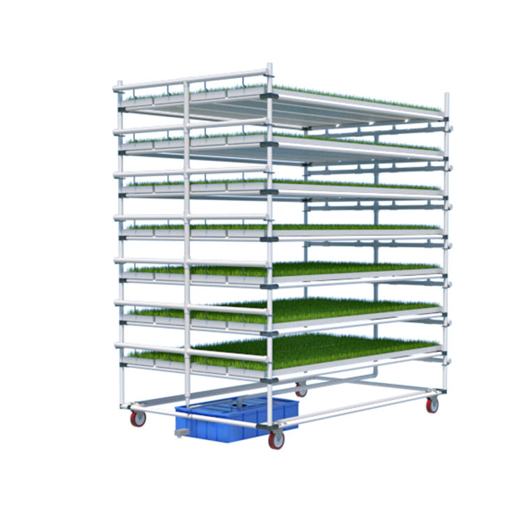 Vertical fodder sprout machine hydroponics microgreen growing system rack with LED growing light