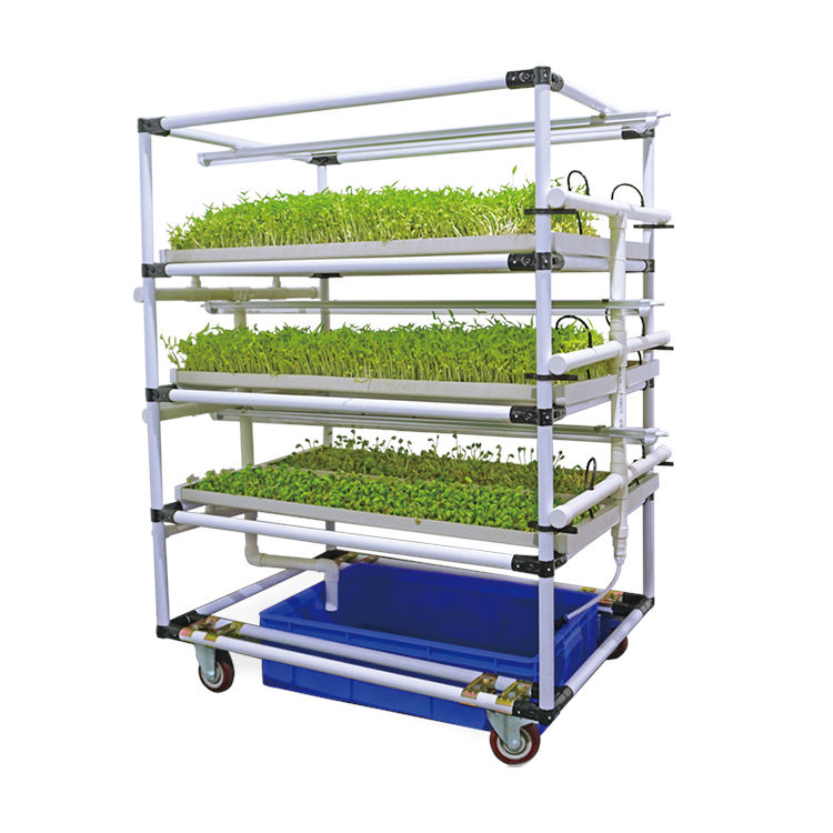 Lyine aeroponic growing systems complete hydroponic barley/corn/wheat fodder growing system