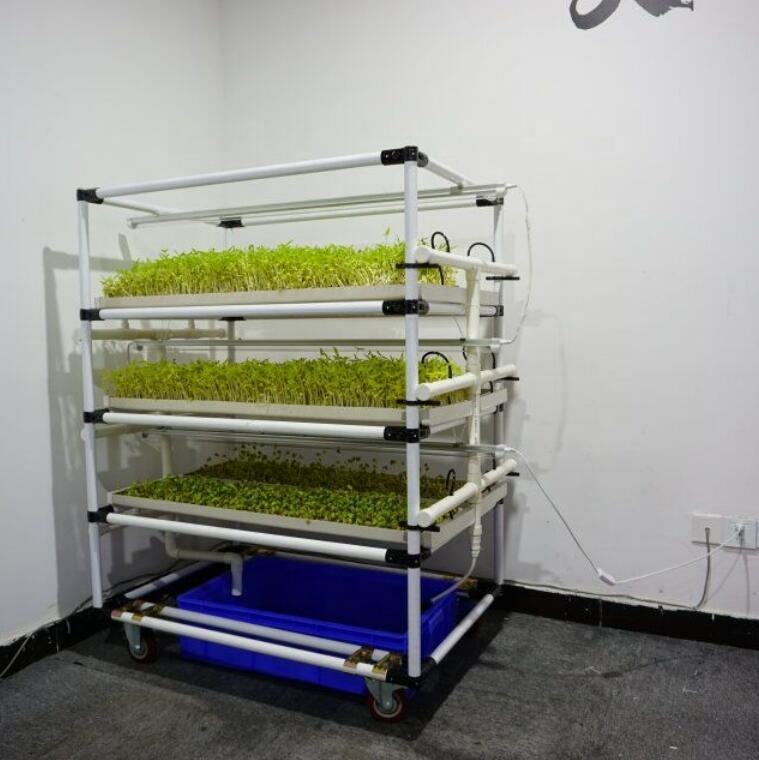 Lyine aeroponic growing systems complete hydroponic barley/corn/wheat fodder growing system