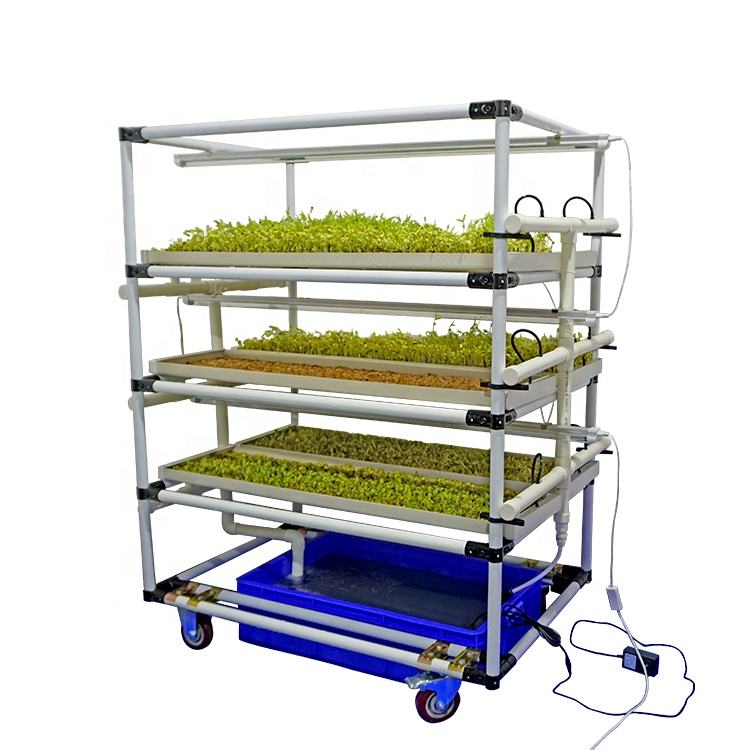 Hydroponic Microgreen Tray Growing Rack System