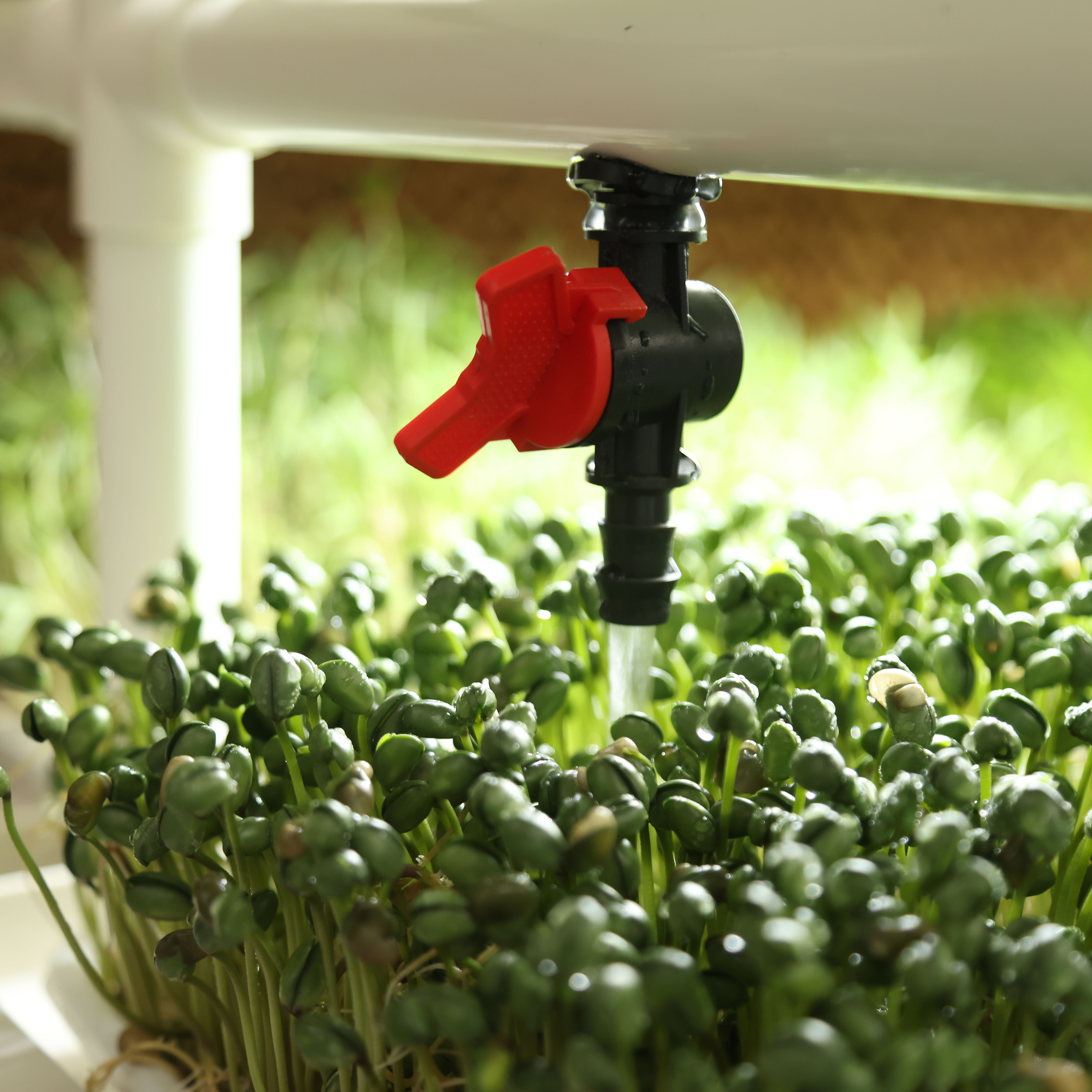 Hydroponic Microgreen Tray Growing Rack System