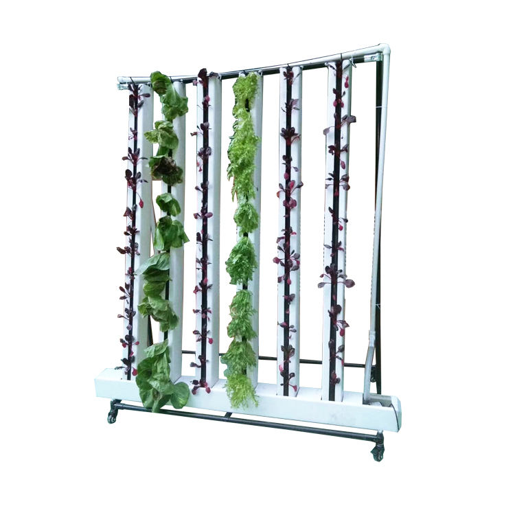 Zip Hydroponics System (Code ZHS-612)