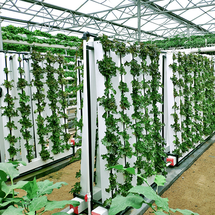 Zip Hydroponics System (Code ZHS-612)