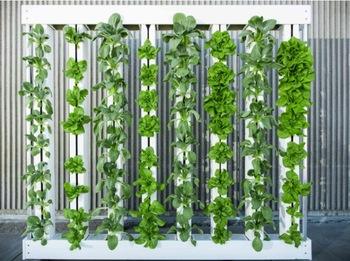 Zip Hydroponics System (Code ZHS-612)