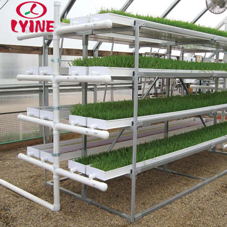 LYINE Greenhouse Fodder Hydroponic Growing System Complete Vertical Indoor Hydroponic Lighting Growing Systems