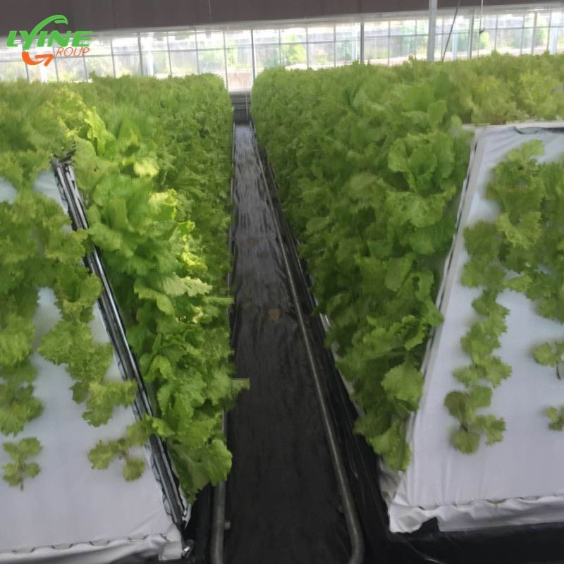 Automatic Aeroponic Tower Gardening Watering System for Greenhouse