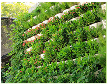 Garden vertical green wall pots green wall system greenwall flower pots vertical greenwall