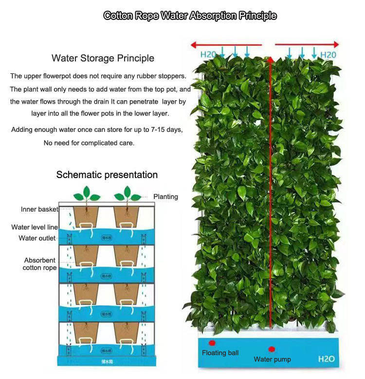 Multifunctional Combination Flower Greenwall Hydroponics System for Garden Office