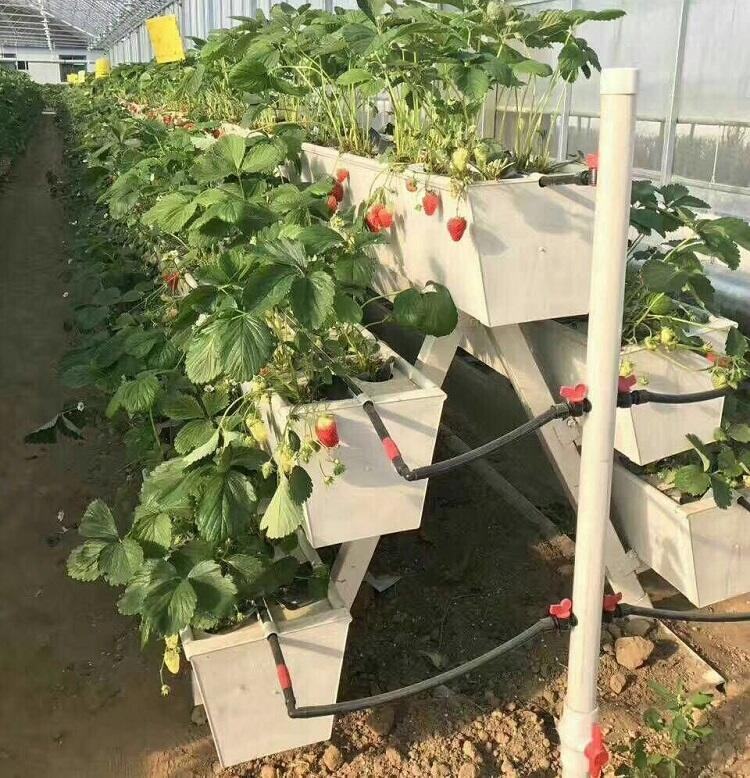 Hydroponics Strawberry Gutter Greenhouse Growing System Tomato Strawberry PVC Gutter