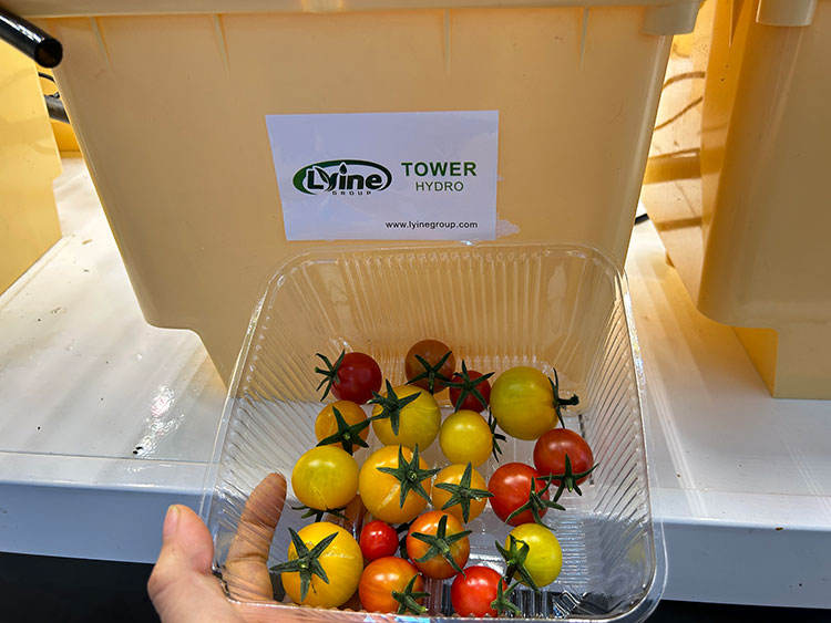 Agricultural Greenhouses Substrate Culture 1/2/4 Holes Dutch Barrel Hydroponic System Dutch Bucket With Lid