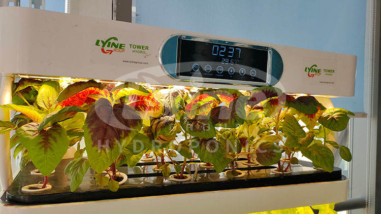 Indoor Smart Garden Hydroponic Intelligent Vertical Farming Home Hydroponic Growing Systems